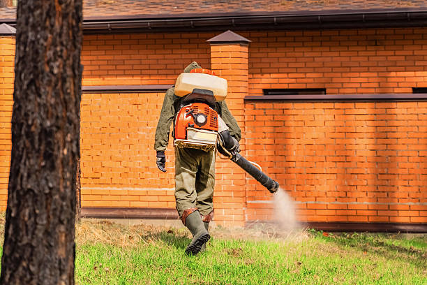 Top rated local Cockroach Control specialists in Normandy Park, WA